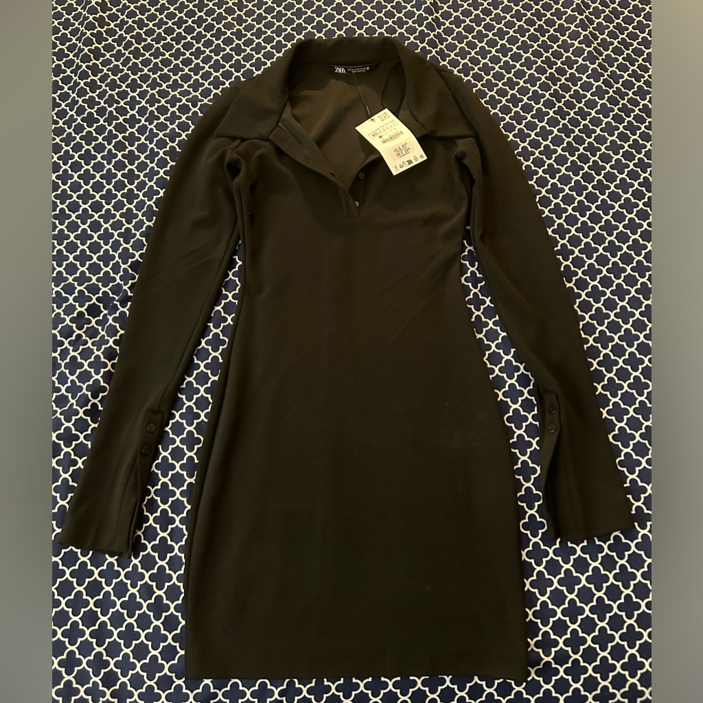 Long Sleeve Zara Dress